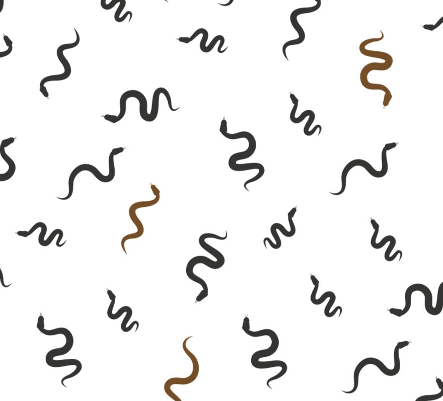 Snakes and Ladders: Retro
